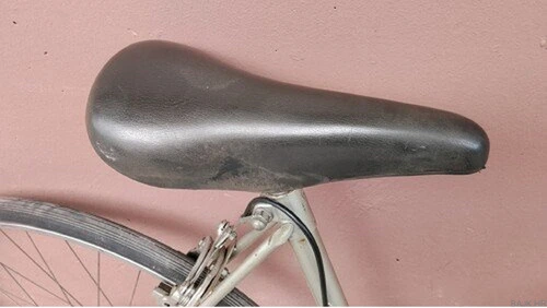 Rog bicikl 10 brzina, original, 1982. godište – odlično očuvan